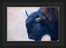 Load image into Gallery viewer, Coming Of Age