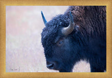 Load image into Gallery viewer, Coming Of Age