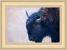Load image into Gallery viewer, Coming Of Age