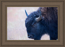 Load image into Gallery viewer, Coming Of Age