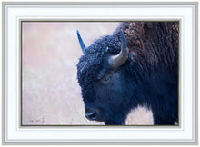 Load image into Gallery viewer, Coming Of Age