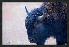 Load image into Gallery viewer, Coming Of Age
