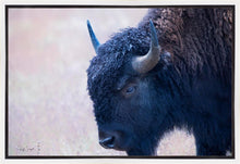 Load image into Gallery viewer, Coming Of Age