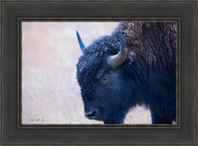 Load image into Gallery viewer, Coming Of Age