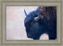 Load image into Gallery viewer, Coming Of Age