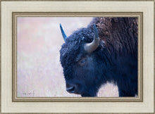 Load image into Gallery viewer, Coming Of Age