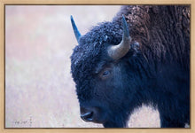 Load image into Gallery viewer, Coming Of Age