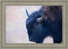 Load image into Gallery viewer, Coming Of Age
