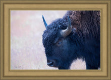 Load image into Gallery viewer, Coming Of Age