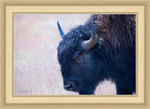 Load image into Gallery viewer, Coming Of Age