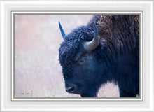 Load image into Gallery viewer, Coming Of Age