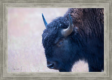 Load image into Gallery viewer, Coming Of Age
