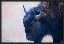 Load image into Gallery viewer, Coming Of Age