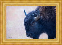 Load image into Gallery viewer, Coming Of Age