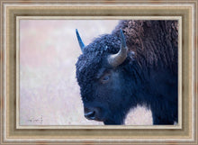 Load image into Gallery viewer, Coming Of Age