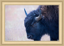 Load image into Gallery viewer, Coming Of Age