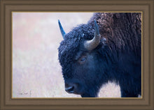 Load image into Gallery viewer, Coming Of Age