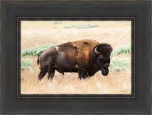 Load image into Gallery viewer, King of the Desert