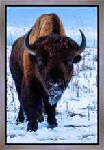 Load image into Gallery viewer, Buddy
