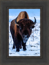 Load image into Gallery viewer, Buddy