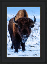 Load image into Gallery viewer, Buddy