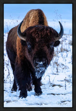 Load image into Gallery viewer, Buddy