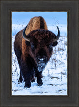 Load image into Gallery viewer, Buddy