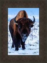 Load image into Gallery viewer, Buddy