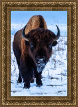 Load image into Gallery viewer, Buddy