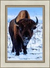 Load image into Gallery viewer, Buddy