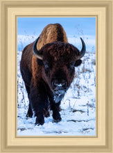 Load image into Gallery viewer, Buddy