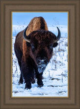 Load image into Gallery viewer, Buddy