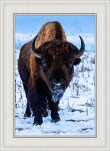 Load image into Gallery viewer, Buddy