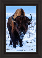 Load image into Gallery viewer, Buddy