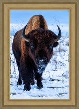 Load image into Gallery viewer, Buddy
