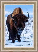 Load image into Gallery viewer, Buddy