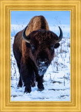 Load image into Gallery viewer, Buddy