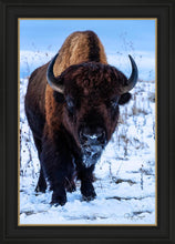 Load image into Gallery viewer, Buddy