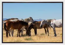 Load image into Gallery viewer, Mingle