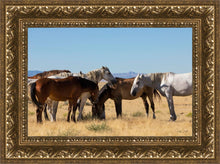 Load image into Gallery viewer, Mingle