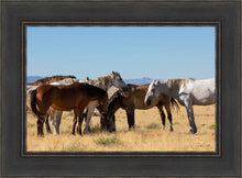 Load image into Gallery viewer, Mingle