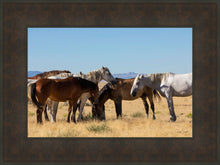 Load image into Gallery viewer, Mingle