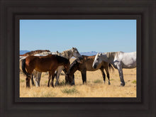 Load image into Gallery viewer, Mingle