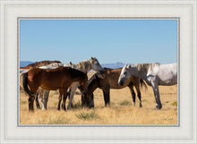 Load image into Gallery viewer, Mingle