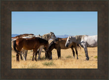Load image into Gallery viewer, Mingle