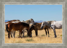 Load image into Gallery viewer, Mingle