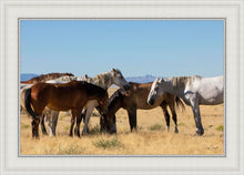 Load image into Gallery viewer, Mingle