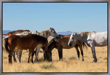 Load image into Gallery viewer, Mingle