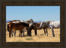 Load image into Gallery viewer, Mingle