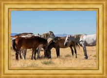 Load image into Gallery viewer, Mingle